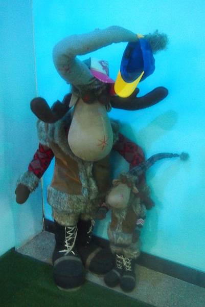 【仙蹤】首爾濟州❤冰天雪地的視覺之旅.全年保持在零下5度的室