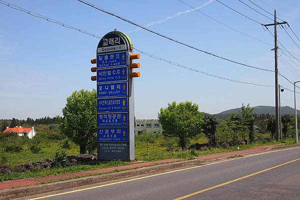 【仙蹤】韓國濟州❤浪漫的韓劇指定取景地 ——「山君不離（산굼