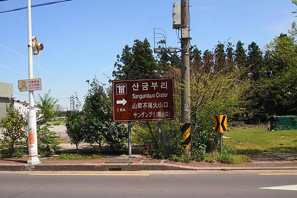 【仙蹤】韓國濟州❤浪漫的韓劇指定取景地 ——「山君不離（산굼