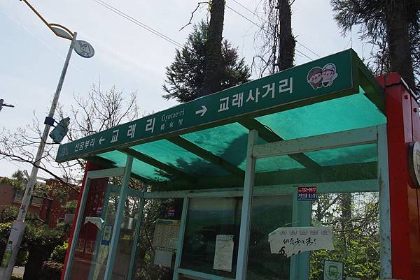 【仙蹤】韓國濟州❤浪漫的韓劇指定取景地 ——「山君不離（산굼