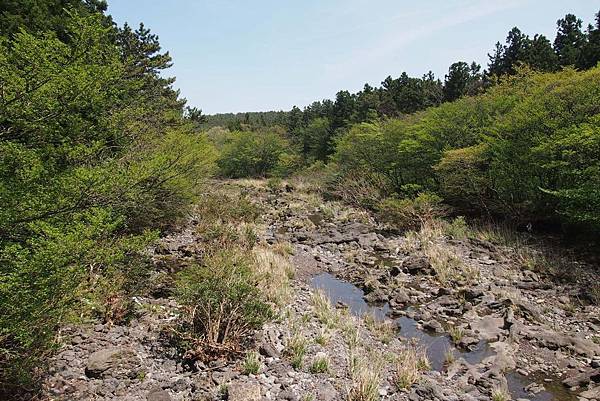 【仙蹤】韓國濟州❤浪漫的韓劇指定取景地 ——「山君不離（산굼