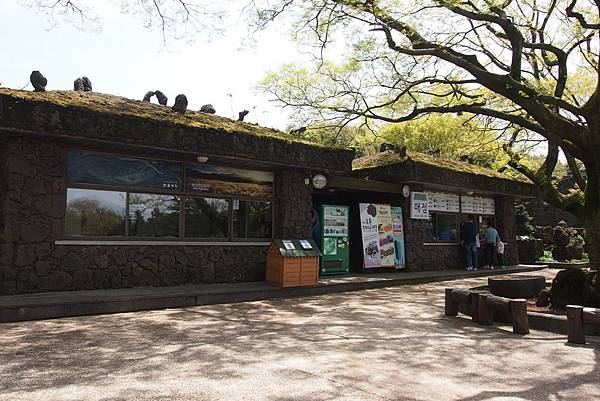 【仙蹤】韓國濟州❤浪漫的韓劇指定取景地 ——「山君不離（산굼