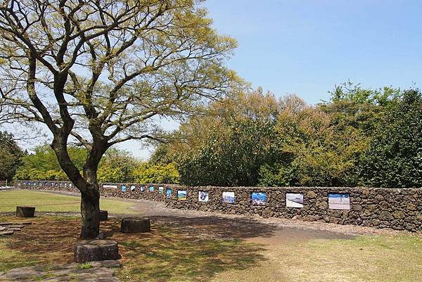 【仙蹤】韓國濟州❤浪漫的韓劇指定取景地 ——「山君不離（산굼
