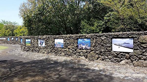 【仙蹤】韓國濟州❤浪漫的韓劇指定取景地 ——「山君不離（산굼