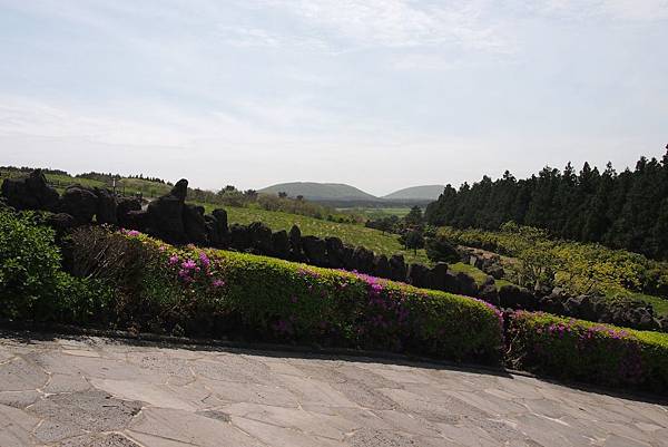 【仙蹤】韓國濟州❤浪漫的韓劇指定取景地 ——「山君不離（산굼
