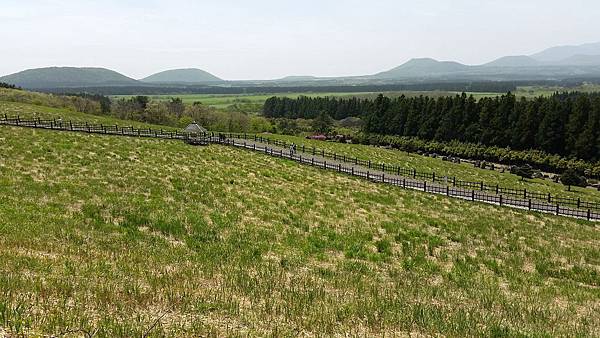 【仙蹤】韓國濟州❤浪漫的韓劇指定取景地 ——「山君不離（산굼
