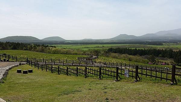 【仙蹤】韓國濟州❤浪漫的韓劇指定取景地 ——「山君不離（산굼