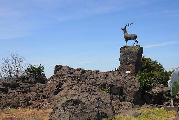 【仙蹤】韓國濟州❤浪漫的韓劇指定取景地 ——「山君不離（산굼