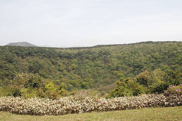 【仙蹤】韓國濟州❤浪漫的韓劇指定取景地 ——「山君不離（산굼