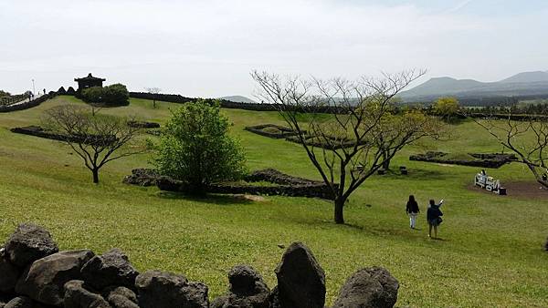 【仙蹤】韓國濟州❤浪漫的韓劇指定取景地 ——「山君不離（산굼