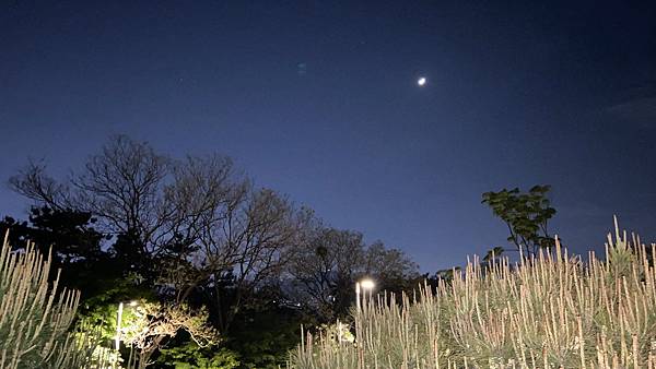 【仙蹤】韓國首爾．惠化❤情侶約會聖地～俯瞰首爾美麗迷人的夜景