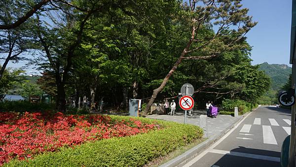 【仙蹤】韓國果川❤來首爾近郊親親大自然．適合親子遊的綜合主題