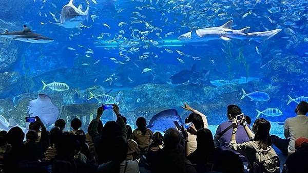首爾COEX水族館門票