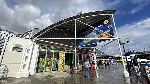 【仙蹤】澳洲．悉尼❤超過6,000種澳洲本土野生動物．室內接