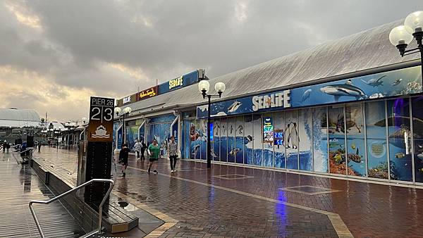 【仙蹤】澳洲．悉尼❤近距離看鯊魚～進入6,000隻海洋生物的