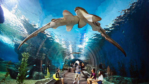 【2025芭提雅景點】《芭提雅景點TOP15》盤點泰國芭提雅