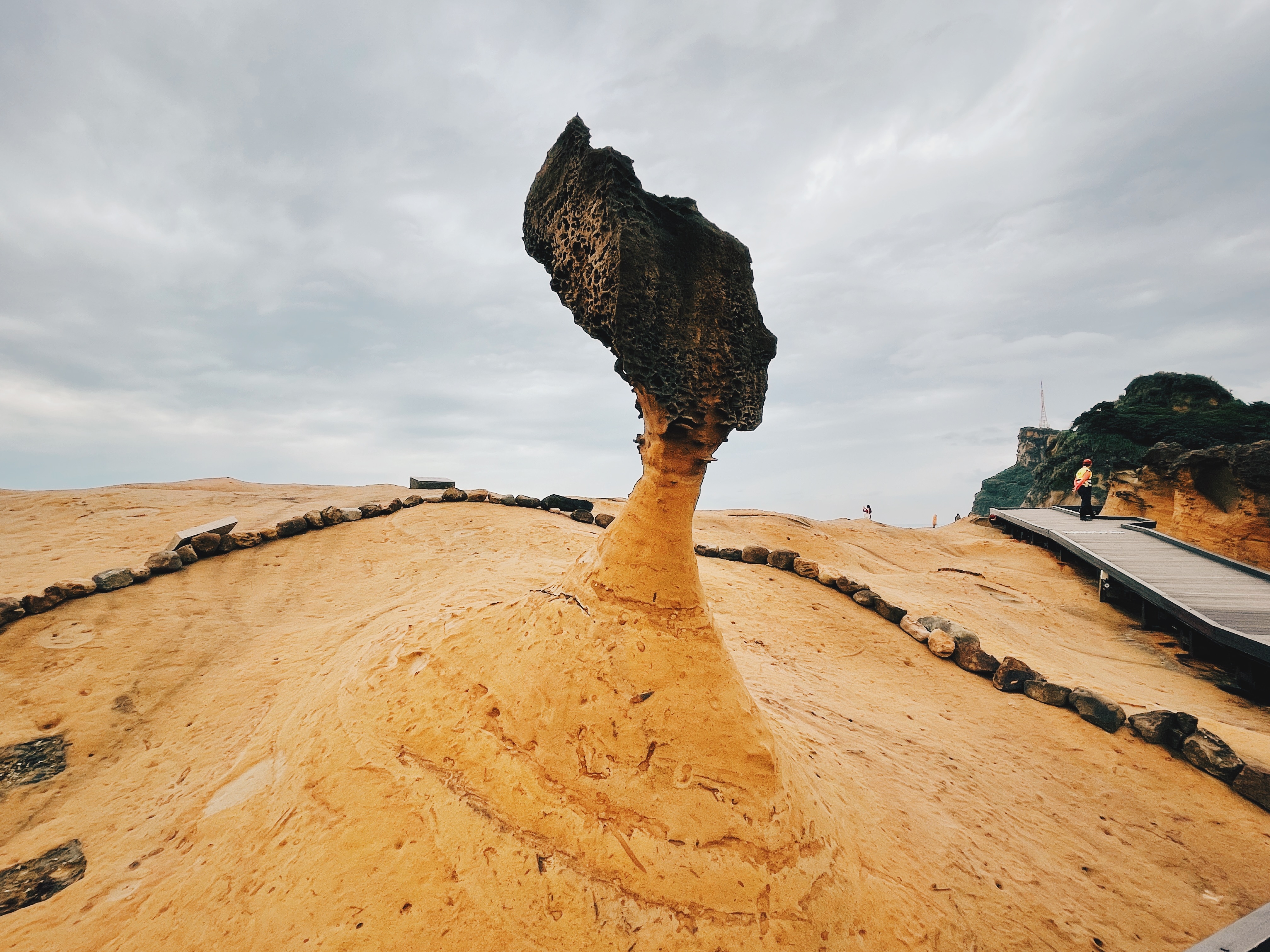 IMG_9982.jpg IMG_9982.jpg