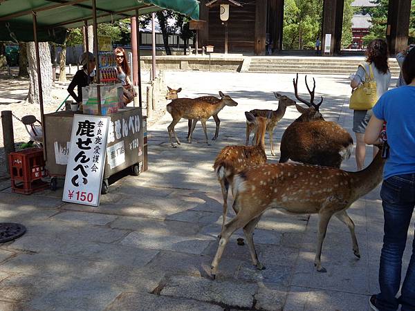 奈良公園，賣仙貝的攤販(鹿喜歡吃