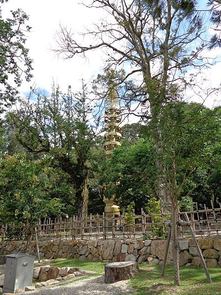 那金色的高度好像代表這座寺是佛教裡最高等級的寺之一