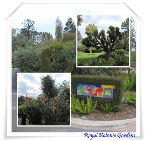 ROYAL BOTANIC GARDENS.jpg