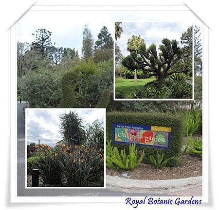 ROYAL BOTANIC GARDENS.jpg