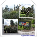 ROYAL BOTANIC GARDENS.jpg