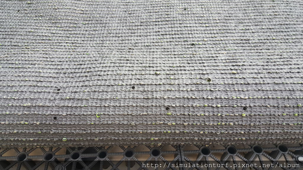 20160714_143131.jpg 20160714_143131.jpg