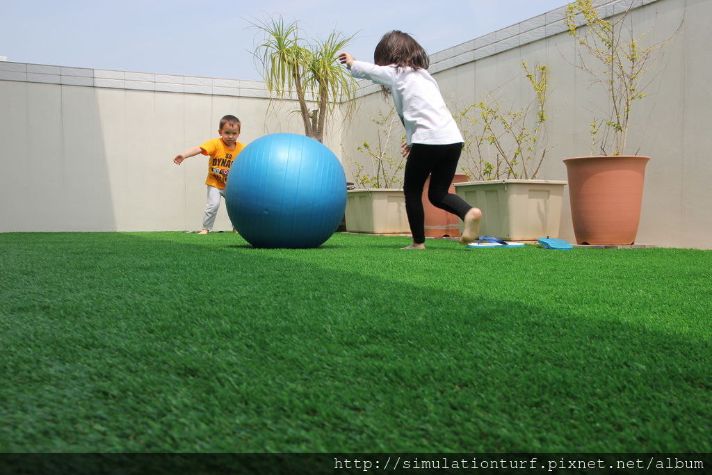 IMG_4064.JPG IMG_4064.JPG