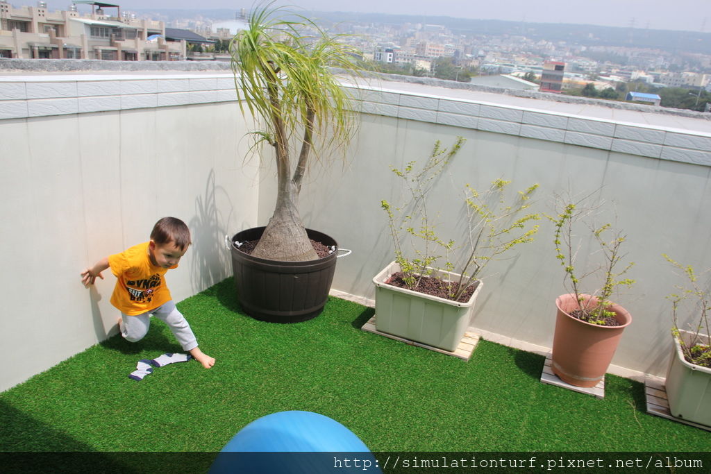 IMG_4187.JPG IMG_4187.JPG