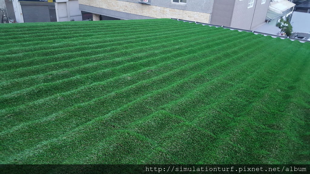 20170809_184143.jpg 20170809_184143.jpg