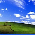 winXP