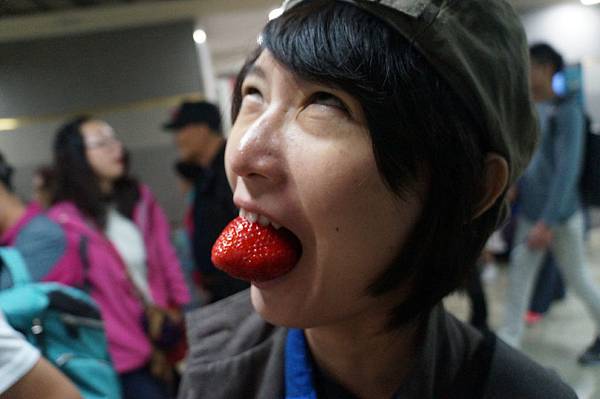 韓國草莓07.jpg