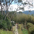 餐廳後的森林步道