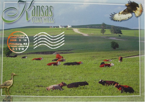 postcard7.jpg