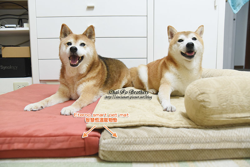 Image00001拷貝.jpg Image00001拷貝.jpg