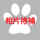 相片待補拷貝.jpg