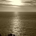 夕陽中的仙人掌2.JPG