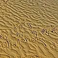 字.JPG