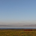 青海湖留念.JPG