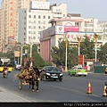 120909084242城巿驢車.jpg