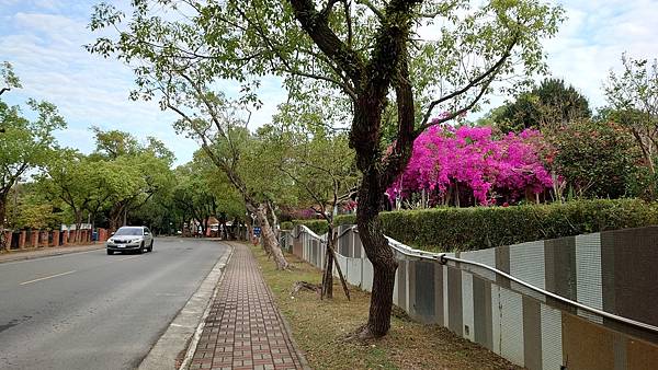 圓夢之跑在日月潭