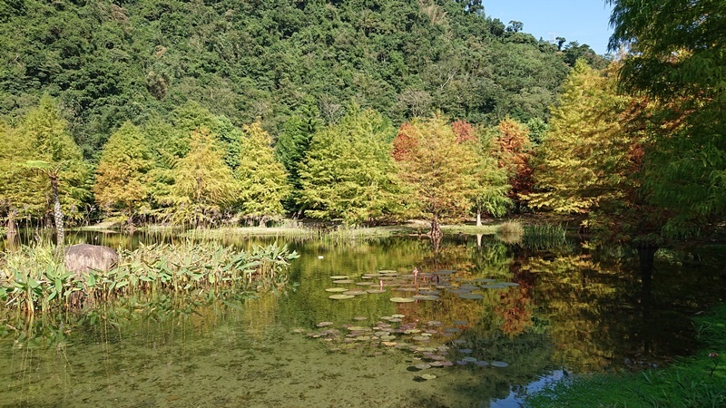 5-3.JPG - 苗栗雲水山莊