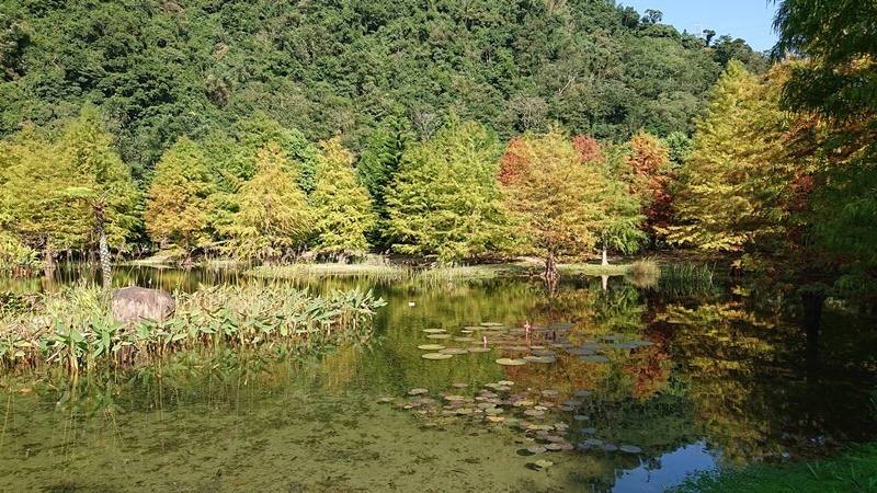 5-27.JPG - 苗栗雲水山莊