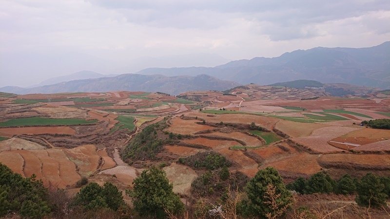 11.JPG - 東川紅土地