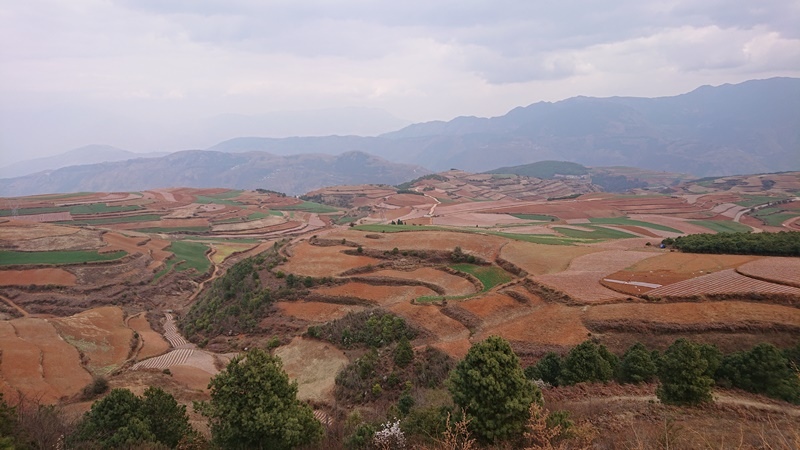 11-8.JPG - 東川紅土地