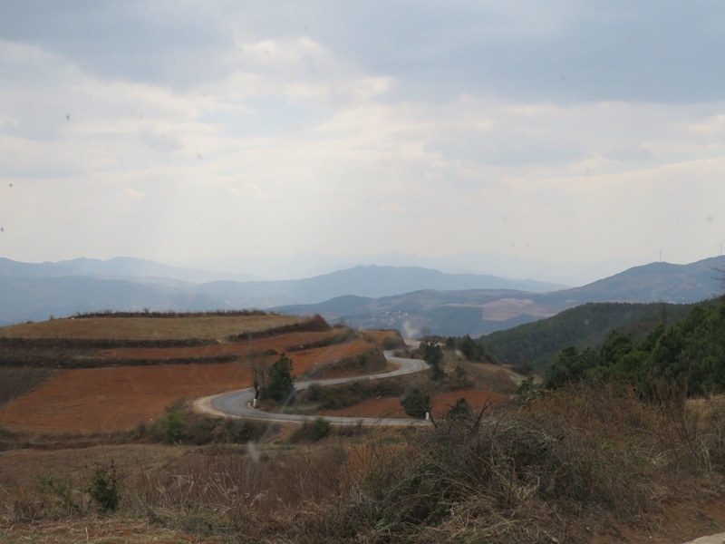 12.JPG - 東川紅土地