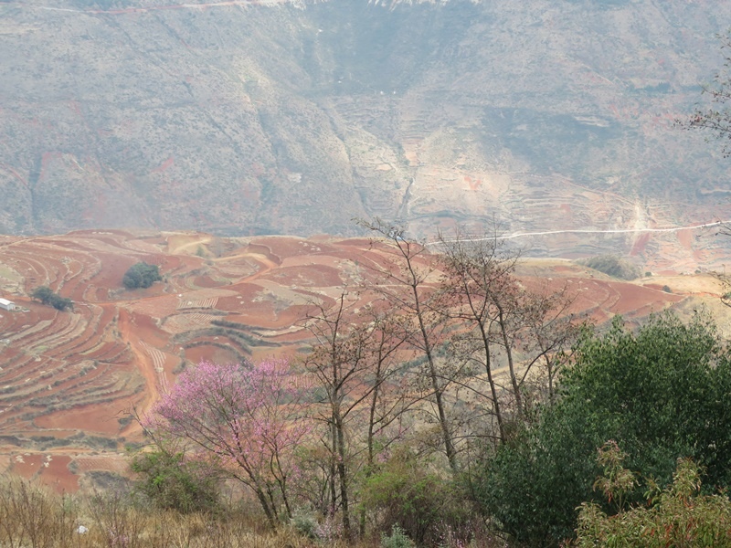 12-5.JPG - 東川紅土地