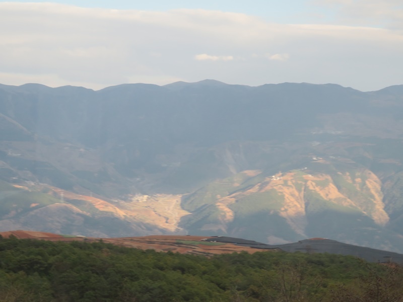 16.JPG - 東川紅土地