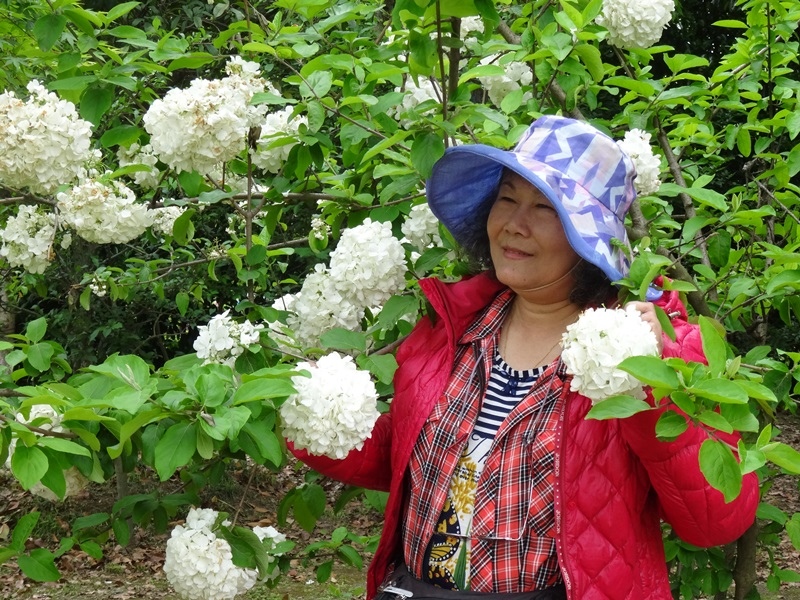 7-18.JPG - 南京玄武湖→揚州博物館 揚州東關街