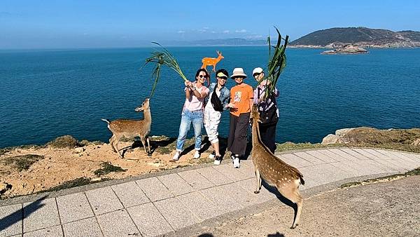 馬祖馬拉松跑玩趣(四)大坵島餵鹿趣